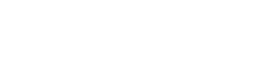 zehra global infotech footer